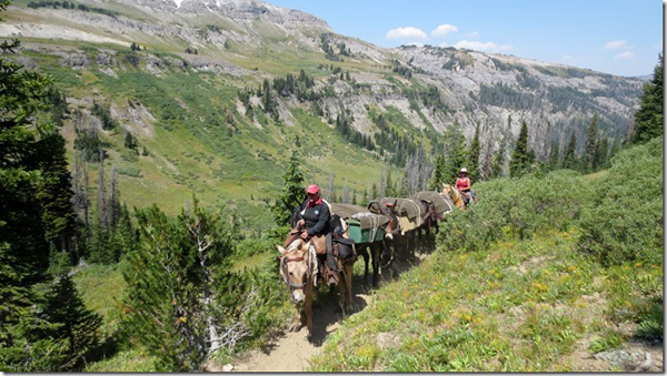 Back country horsemen of america horse riding