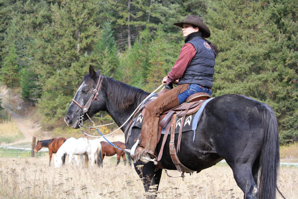 Image result for cowgirls and cattle