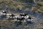 Botswana Okavango Delta
