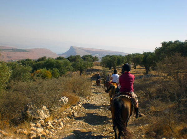 Galilee horseback riding holidays israel