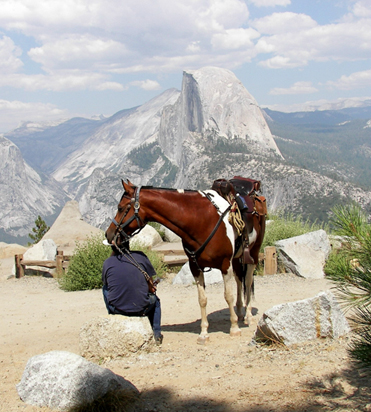 glacier point yosemite horse trails