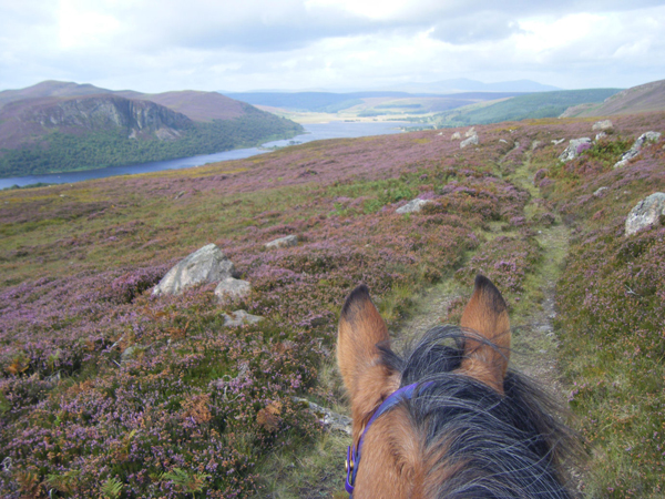 Equestrian Tours Scotland Equestrian Tours Scotland