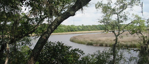 Doris Leeper Spruce Creek Preserve