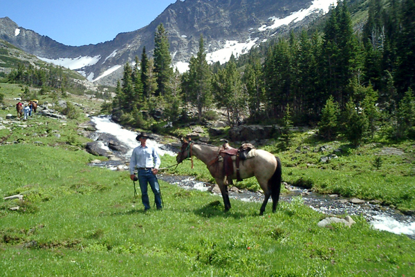 Sweetgrass Ranch
