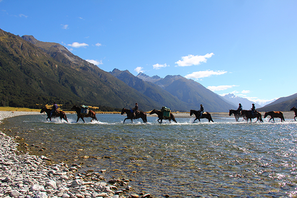 guests horseback riding through a stream in New Zealand hosted by Adventure Horse Trekking