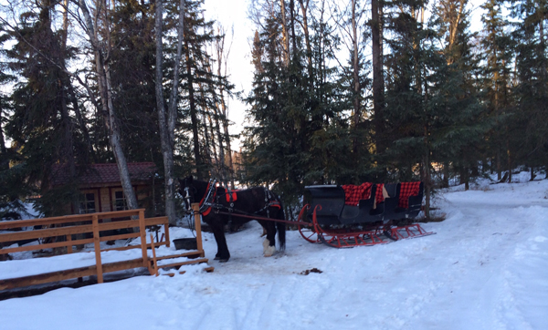 alaska horse trails