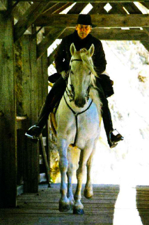 alps bridge italy horseback