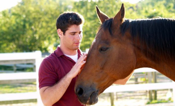 Josh & Sir Galahad: Retired Thoroughbred Racehorse & decendant of the legendary "Man of War".