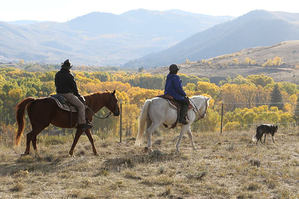 bar lazy j ranch colorado