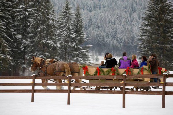 dude ranch blog dude ranch christmas photos ideas for christmas dude ranch