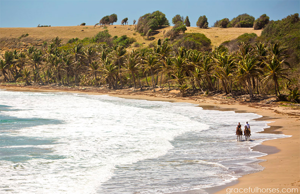St Lucia Caribbean horseback riding