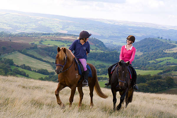 Brecon Beacons National Park Horseback Riding