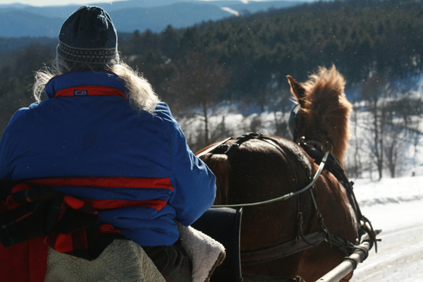 carriage driving vermont susan rogers