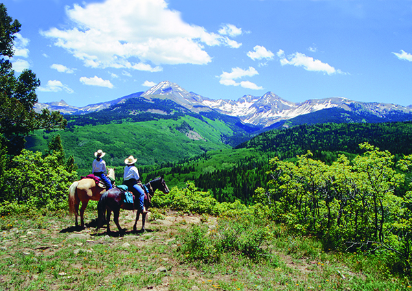 Image result for cattle ranches in colorado