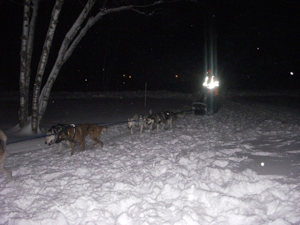 sledding vermont equestrian travel articles vermont winter sleigh rides sledding vermont equestrian travel articles vermont winter sleigh rides