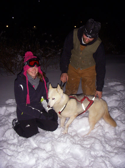vermont puppies equestrian travel articles vermont winter sleigh rides vermont puppies equestrian travel articles vermont winter sleigh rides