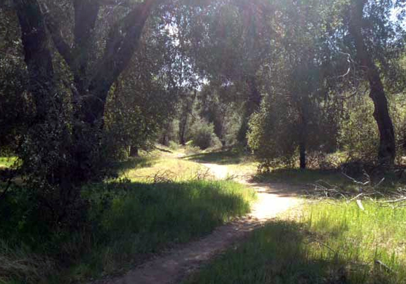 eagle rock horse trails
