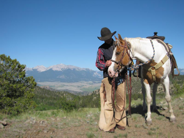 Image result for cattle ranches in colorado