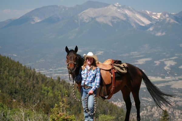 Image result for cattle ranches in colorado