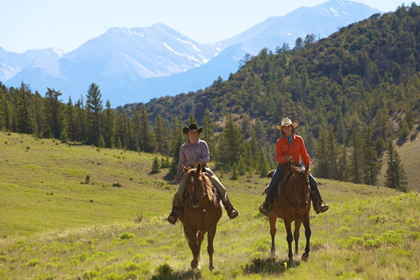 Image result for cattle ranches in colorado