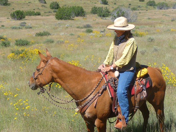 hackamore new mexico