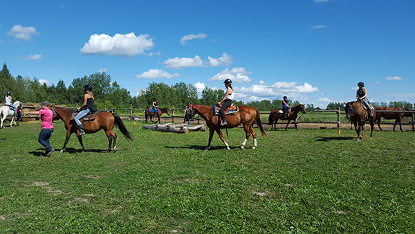 Horse Country Campground horse riding Ottawa River