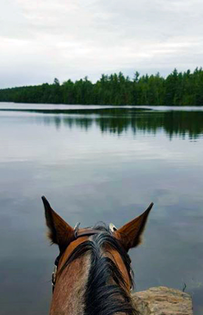 Horse Country Campground Ontario between the ears