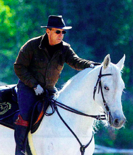 marchador horse europe