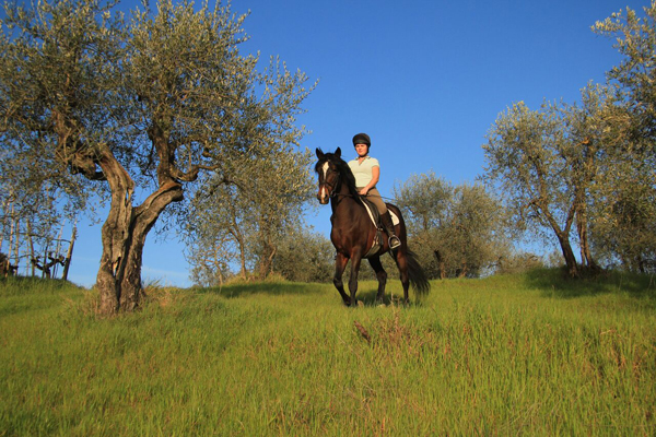 Il Paretaio Classical Dressage Vacation