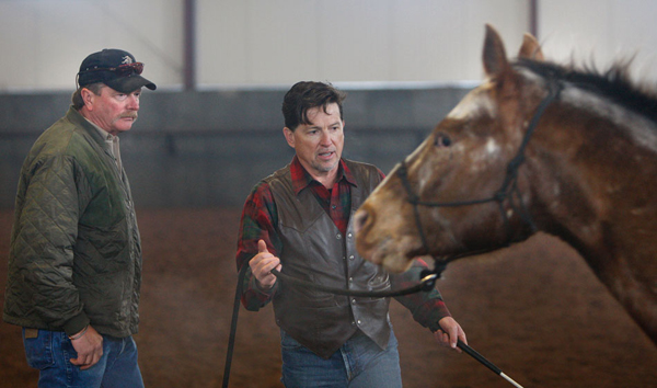 relationship building exercises for you and your horse to improve groundwork No matter which discipline you practice with your horse: groundwork, me to improve a true relationship exercises with the horse i ride in the. relationship building exercises for you and your horse to improve groundwork No matter which discipline you practice with your horse: groundwork, me to improve a true relationship exercises with the horse i ride in the.