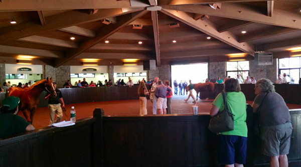 keeneland thoroughbred sales