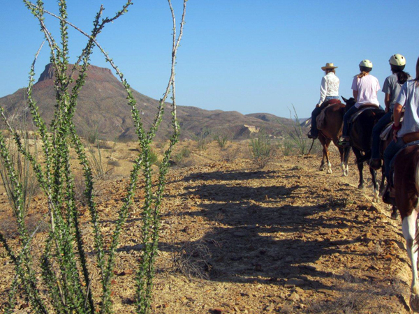 lajitas horseback riding texas ranch