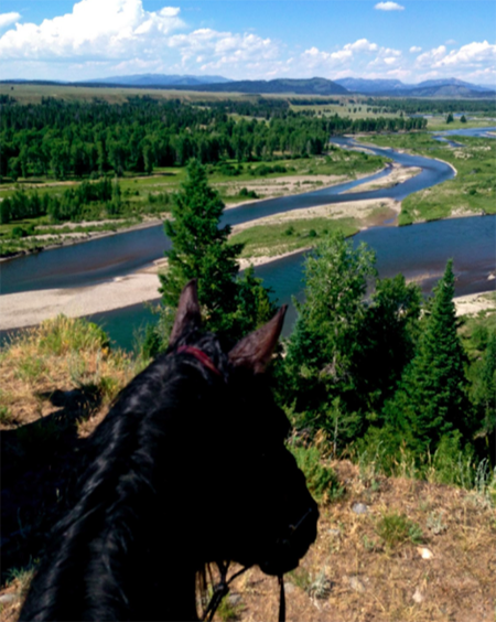 Lost Creek Ranch Wyoming horse riding