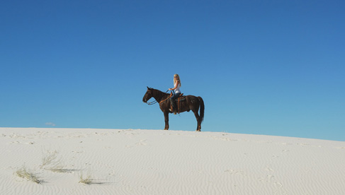 horseback riding new mexico