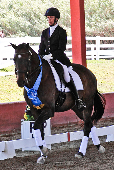 off the track thoroughbred