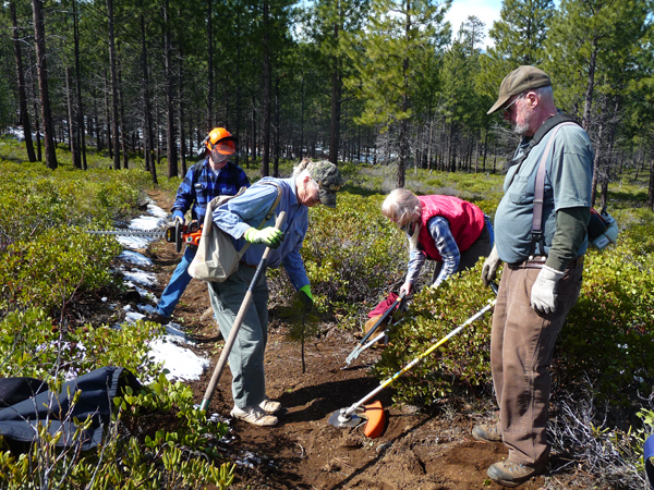 oregon equestrian trails volunteers