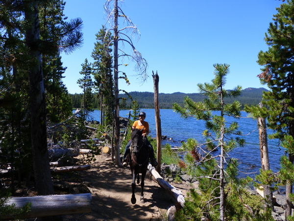 oregon horse trails lava lake