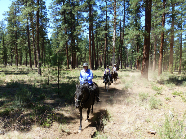 Metolius Basin oregon horse trails