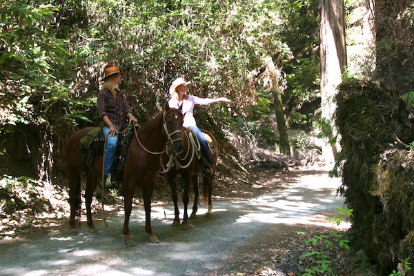 Horseback riding tours in Sonoma's redwood forests.