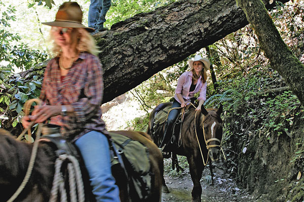 Horseback riding in Guerneville's Armstrong Redwoods Park.