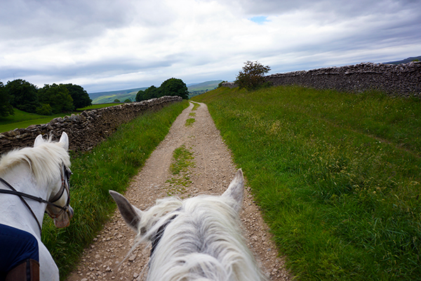 riding horses Yorkshire Dales Engnald