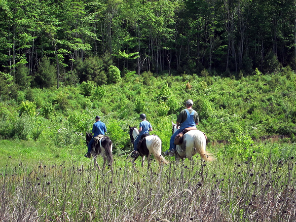 riding horses west Virginia tourism