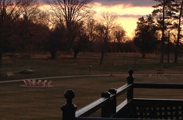 salamander farms sunset