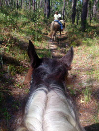 southern trail riders horseback florida
