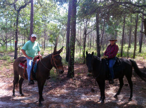 southern trailriders association