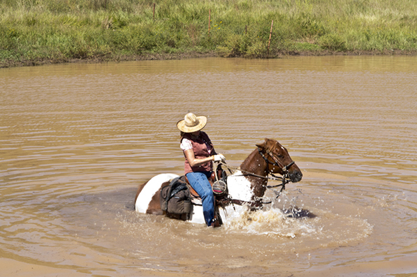 water horseback riding