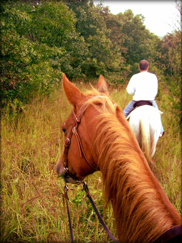 trail riding iowa