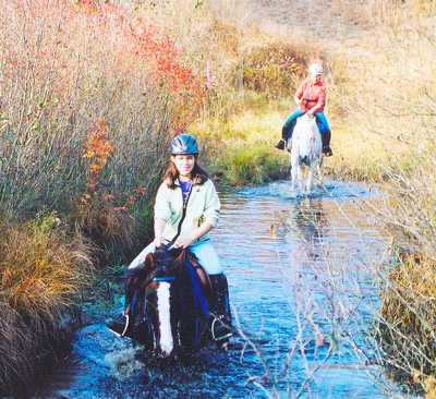 competitive trail riding