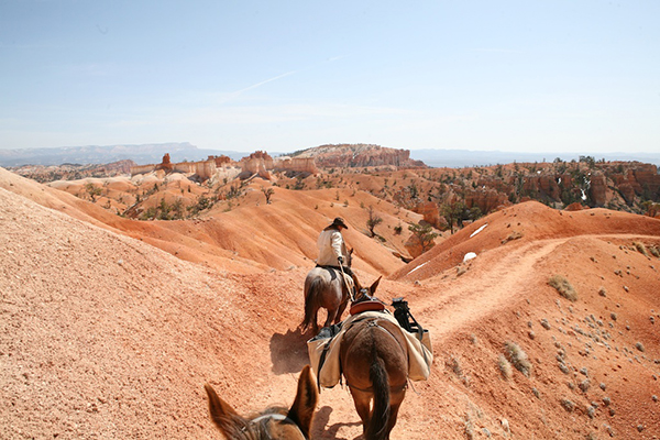 utah horseback riding bryce canyon