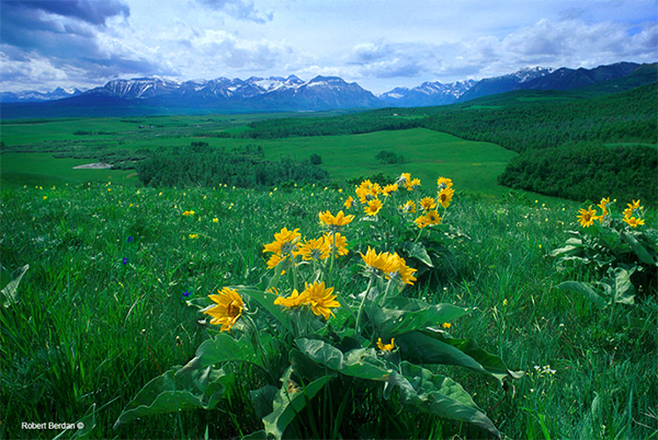 waterton lakes national park canada horse riding